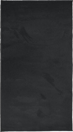 vidaXL - Vloerkleed - OVIEDO - laagpolig - 80x150 - cm - zwart