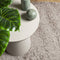 vidaXL - Vloerkleed - PAMPLONA - shaggy - hoogpolig - modern - 80x150 - cm - beige