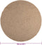 vidaXL - Vloerkleed - ZIZUR - binnen - en - buiten - 160 - cm - jute - look