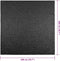 vidaXL - Vloerkleed - ZIZUR - binnen - en - buiten - 200x200cm - jute - look - antraciet