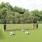 vidaXL - Voetbal - reboundnet - 183x85x120 - cm - polyester - zwart - en - geel