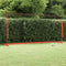 vidaXL - Voetbaldoel - 366,5x91x183 - cm - staal