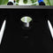vidaXL Voetbaltafel 60 kg 140x74.5x87.5 cm staal zwart