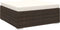 vidaXL - Voetensteun - 1 - st - met - kussen - poly - rattan - bruin