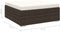 vidaXL - Voetensteun - 1 - st - met - kussen - poly - rattan - bruin