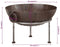 vidaXL - Vuurplaats - 55x55x38 - cm - ijzer