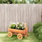 vidaXL-Wagen-decoratief-70x43x54-cm-massief-vurenhout