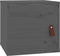 vidaXL - Wandkast - 31,5x30x30 - cm - massief - grenenhout - grijs