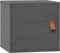 vidaXL - Wandkast - 31,5x30x30 - cm - massief - grenenhout - grijs