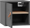 vidaXL - Wandkast - 31,5x30x30 - cm - massief - grenenhout - grijs