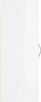 vidaXL - Wandkast - 34,5x34x90 - cm - bewerkt - hout - hoogglans - wit