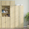 vidaXL - Wandkast - 40x42,5x40 - cm - bewerkt - hout - sonoma - eikenkleurig