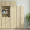 vidaXL - Wandkast - 50x42,5x40 - cm - bewerkt - hout - sonoma - eikenkleurig