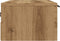 vidaXL - Wandkast - 68x30x20 - cm - bewerkt - hout - oud - houtkleurig