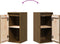 vidaXL - Wandkasten - 2 - st - 30x30x60 - cm - massief - grenenhout - honingbruin
