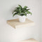 vidaXL - Wandschap - 23x23,5x4 - cm - bewerkt - hout