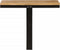vidaXL - Wandschap - 40x30x32 - cm - massief - mangohout - en - ijzer