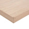 vidaXL - Wandschap - 60x23,5x4 - cm - bewerkt - hout