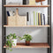 vidaXL - Wandschap - 80x50x2 - cm - onbehandeld - massief - eikenhout
