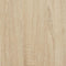 vidaXL - Wandschap - kubus - 12 - vakken - bewerkt - hout - sonoma - eikenkleurig