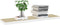 vidaXL - Wandschap - zwevend - 120x23,5x3,8 - cm - MDF - eikenkleurig - en - wit