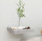 vidaXL - Wandschap - zwevend - 23x23,5x3,8 - cm - MDF - betongrijs