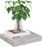 vidaXL - Wandschap - zwevend - 23x23,5x3,8 - cm - MDF - betongrijs