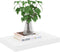 vidaXL - Wandschap - zwevend - 40x23x3,8 - cm - MDF - eikenkleurig - en - wit
