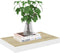 vidaXL - Wandschap - zwevend - 40x23x3,8 - cm - MDF - eikenkleurig - en - wit