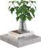 vidaXL - Wandschap - zwevend - 40x23x3,8 - cm - MDF - hoogglans - wit