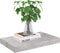 vidaXL - Wandschappen - 2 - st - zwevend - 40x23x3,8 - cm - MDF - betongrijs