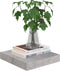 vidaXL - Wandschappen - 4 - st - zwevend - 23x23,5x3,8 - cm - MDF - betongrijs