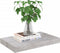 vidaXL - Wandschappen - 4 - st - zwevend - 40x23x3,8 - cm - MDF - betongrijs
