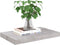vidaXL - Wandschappen - zwevend - 2 - st - 50x23x3,8 - cm - MDF - betongrijs