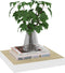 vidaXL - Wandschappen - zwevend - 4 - st - 23x23,5x3,8 - cm - MDF - eikenkleurig - wit