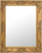 vidaXL - Wandspiegel - barok - stijl - 50x60 - cm - goudkleurig