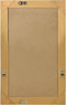 vidaXL - Wandspiegel - barok - stijl - 50x80 - cm - goudkleurig