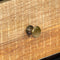 vidaXL - Wandtafel - 118x30x75 - cm - massief - mangohout