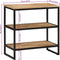 vidaXL - Wandtafel - 70x35x70 - cm - massief - ruw - mangohout