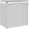 vidaXL - Wasmand - met - 2 - vakken - 53x35x57 - cm - poly - rattan - wit