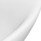 vidaXL - Wastafel - met - overloop - ovaal - 58,5x39 - cm - keramiek - matwit