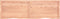 vidaXL - Wastafelblad - 160x50x(2-6) - cm - behandeld - massief - hout - lichtbruin