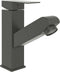 vidaXL - Wastafelkraan - met - uittrekfunctie - 157x172 - mm - grijs