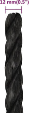 vidaXL - Werktouw - 12 - mm - 25 - m - polypropeen - zwart