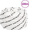 vidaXL - Werktouw - 16 - mm - 100 - m - polyester - wit
