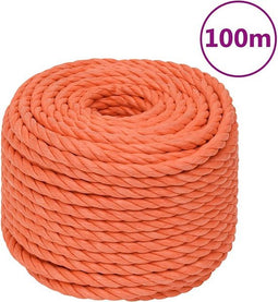 vidaXL - Werktouw - 24 - mm - 100 - m - polypropeen - oranje