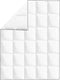 vidaXL - Winterdekbedden - 2 - st - 140x200 - cm - dons