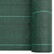 vidaXL - Worteldoek - 1x100 - m - polypropeen - groen