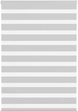 vidaXL - Zebra - rolgordijn - 100x100 - cm - stofbreedte - 95,9 - cm - lichtgrijs