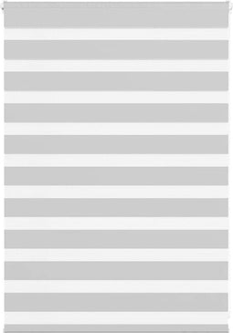 vidaXL - Zebra - rolgordijn - 105x100 - cm - stofbreedte - 100,9 - cm - lichtgrijs